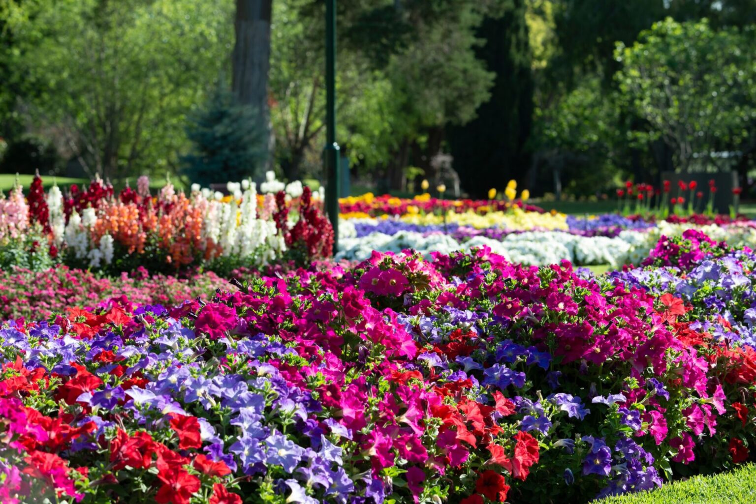 Tiny Homes Toowoomba Tiny Houses for Sale My Little House